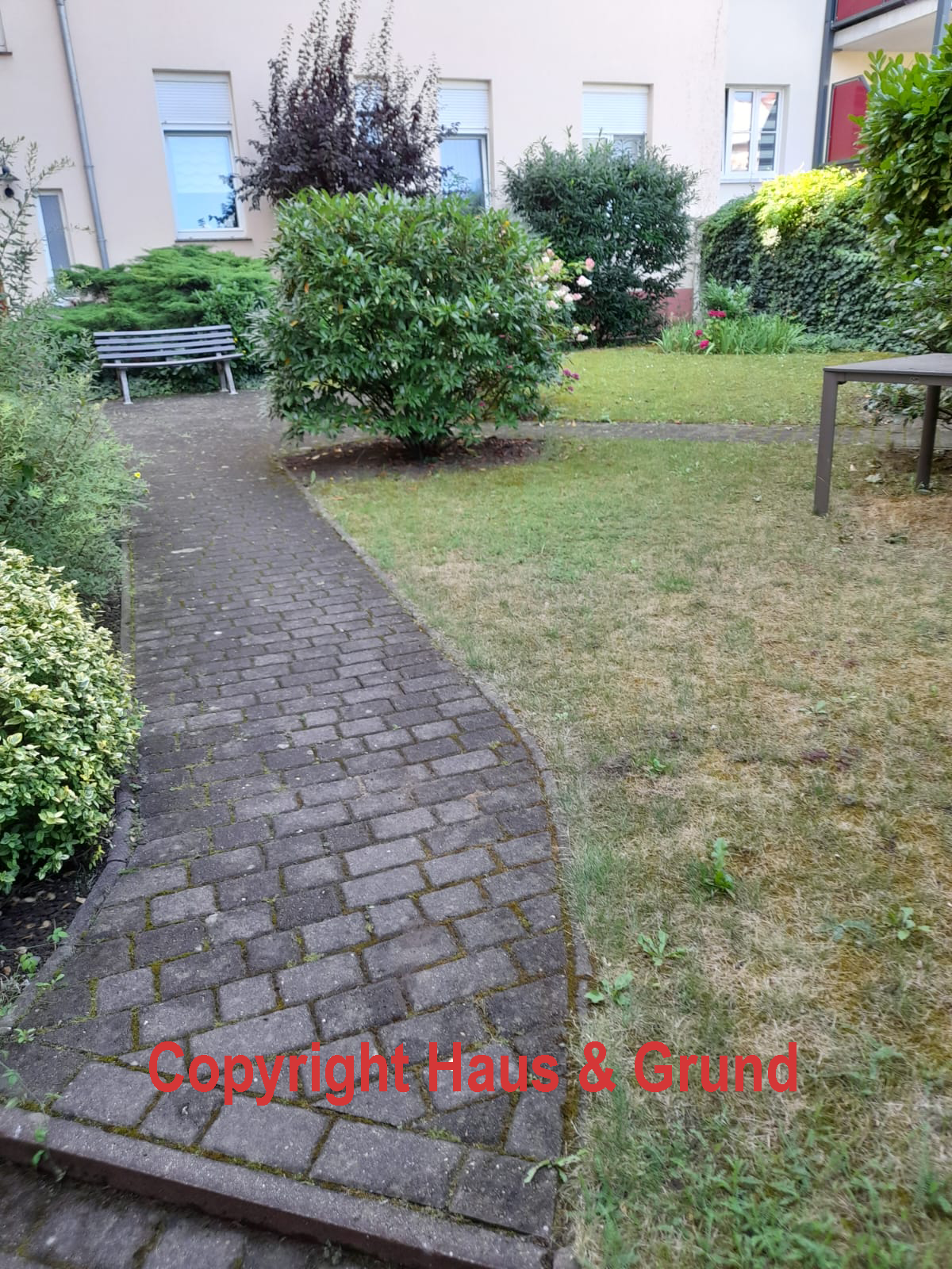 Außenanlagenpflege